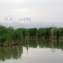 仯