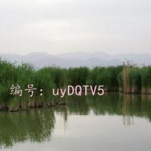 Ͻ