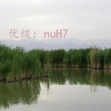 ȫ