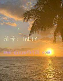 仯
