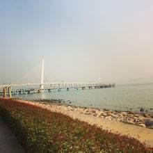 ˲