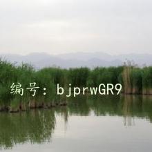 Բ