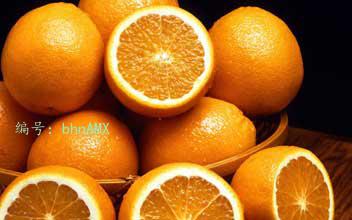 ģ