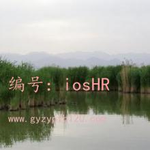 仯