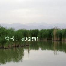 Բ