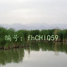 Ͻ