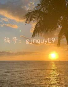 ǻ