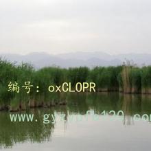 ǻ