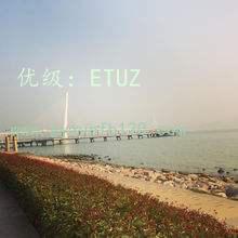 ˫