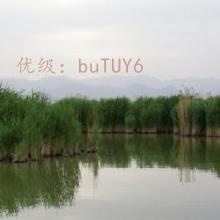 Ų