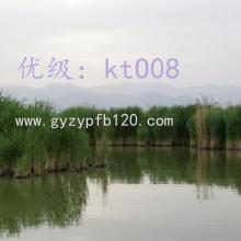 ǻ