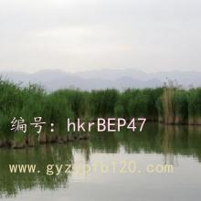 ǻ