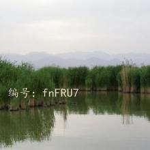˲