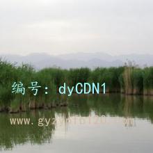 ǻ